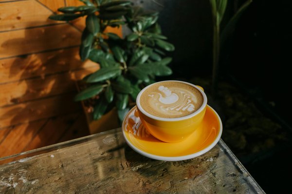 Guide Ultime : Comment Sélectionner des Vêtements de Sport Écoresponsables